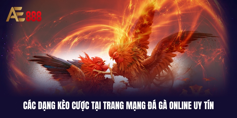 AE888 - Trang Mạng Đá Gà Online Uy Tín Nhất Năm 2026 3 Trang đá gà uy tín không thể thiếu kèo cược quan trọng