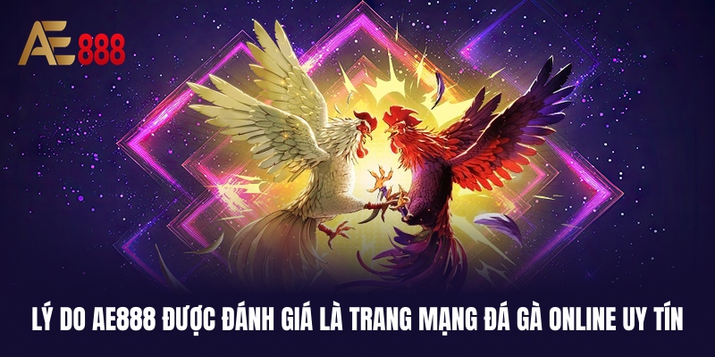 AE888 - Trang Mạng Đá Gà Online Uy Tín Nhất Năm 2026 2 Nhà cái có nhiều ưu điểm để đánh giá là trang mạng đá gà online uy tín