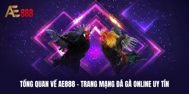 Giới thiệu sơ bộ về trang mạng đá gà online uy tín hiện nay