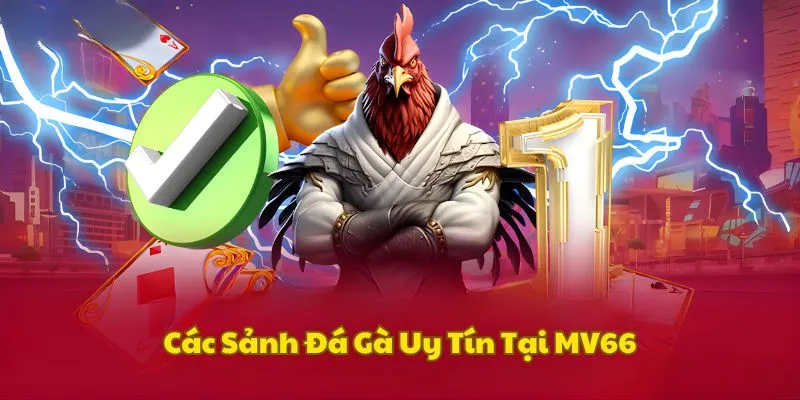 cac-sanh-da-ga-mv66-hap-dan