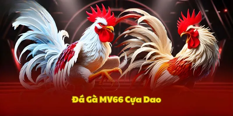 da-ga-mv66-cua-dao