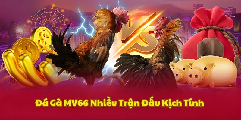 da-ga-mv66-nhieu-tran-dau-kich-tinh